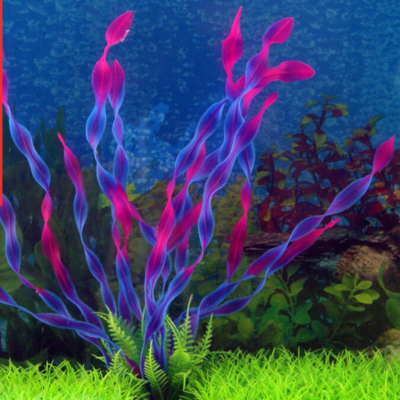 Live Aquarium Plants - Aquatic Plants - Underwater Plants